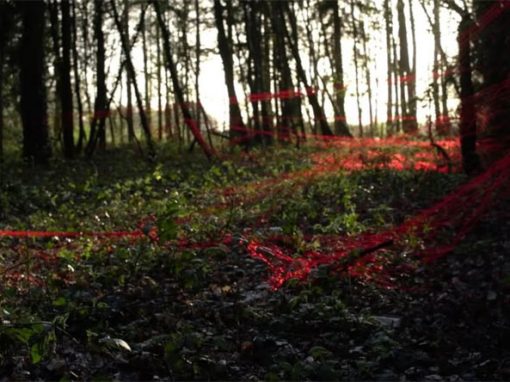 Forêt Rouge